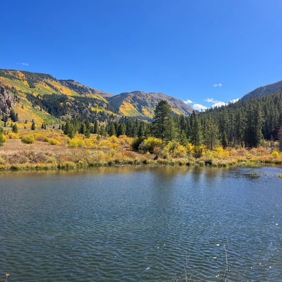 Meet your Posher, Mcclaine - Picture 1 of 1